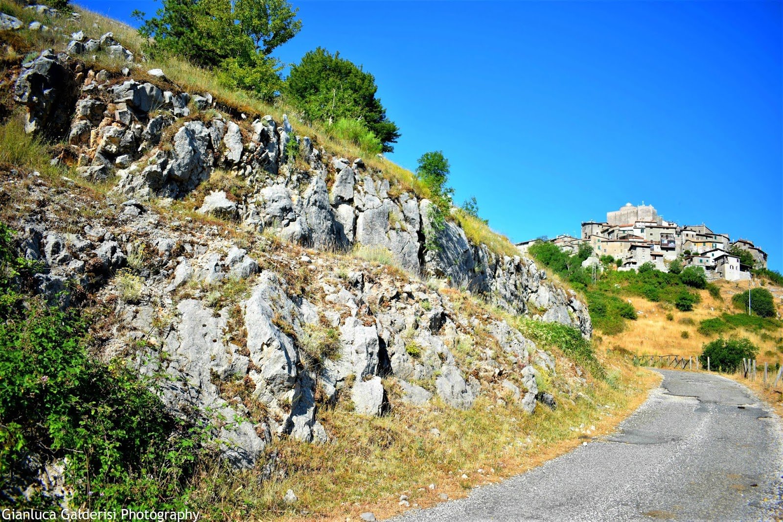 Oggi